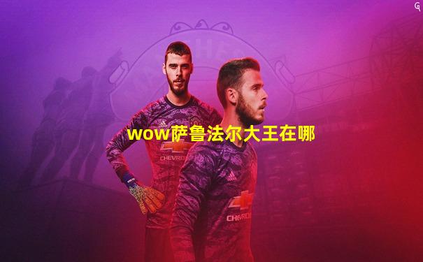 wow萨鲁法尔大王在哪