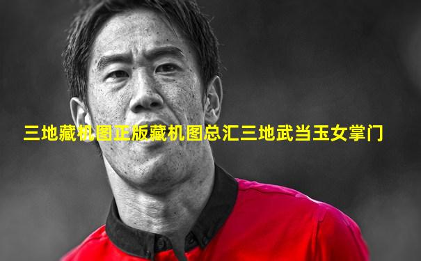 三地藏机图正版藏机图总汇三地武当玉女掌门