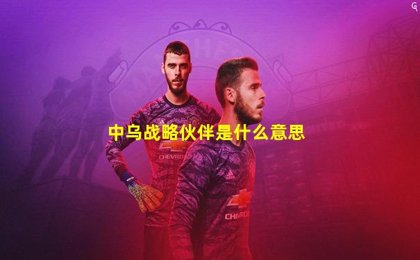 中乌战略伙伴是什么意思