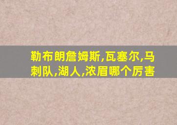 勒布朗詹姆斯,瓦塞尔,马刺队,湖人,浓眉哪个厉害