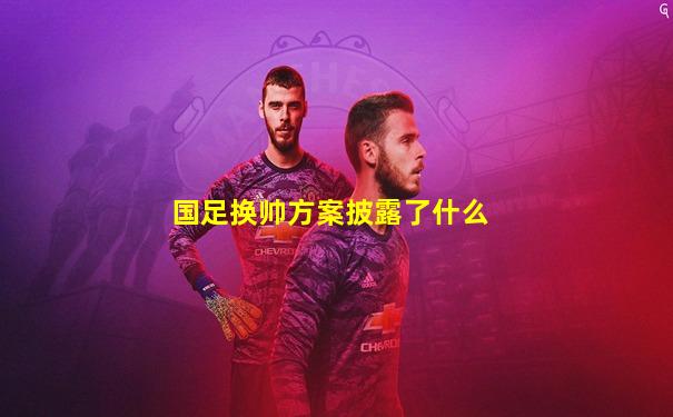 国足换帅方案披露了什么