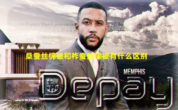 桑蚕丝棉被和柞蚕丝棉被有什么区别