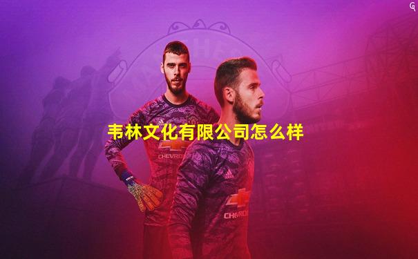 韦林文化有限公司怎么样