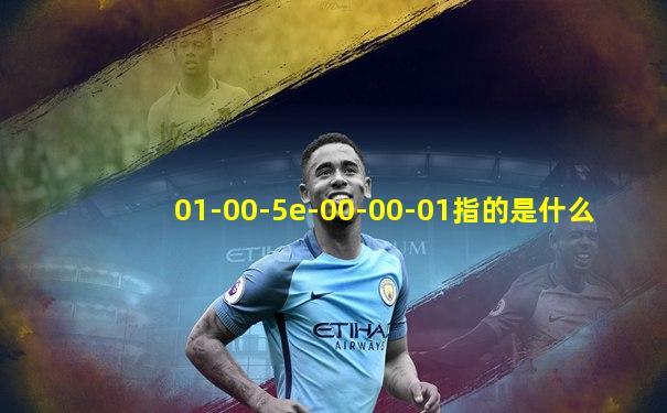 01-00-5e-00-00-01指的是什么