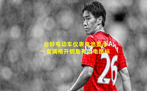 台铃电动车仪表电池显示一直满格开钥匙有闪电图标
