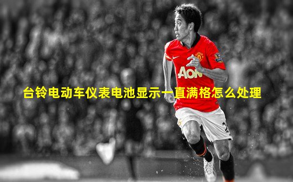 台铃电动车仪表电池显示一直满格怎么处理