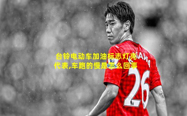 台铃电动车加油标志灯亮代表,车跑的慢是怎么回事