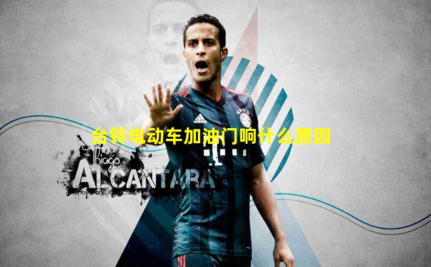 台铃电动车加油门响什么原因