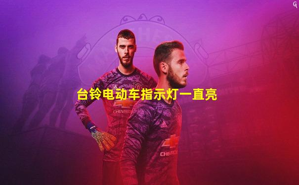 台铃电动车指示灯一直亮