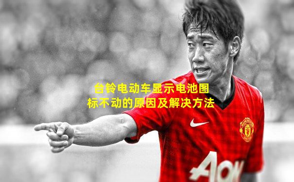 台铃电动车显示电池图标不动的原因及解决方法