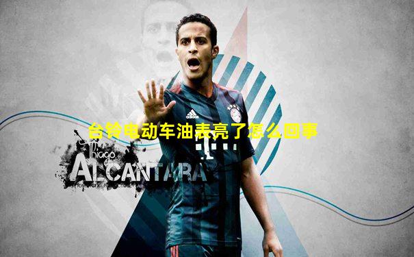 台铃电动车油表亮了怎么回事