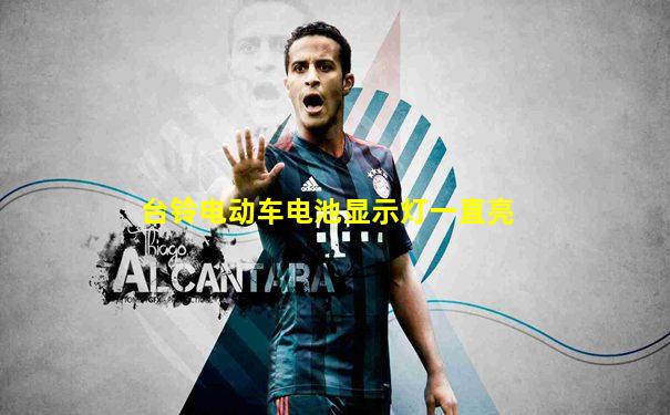 台铃电动车电池显示灯一直亮