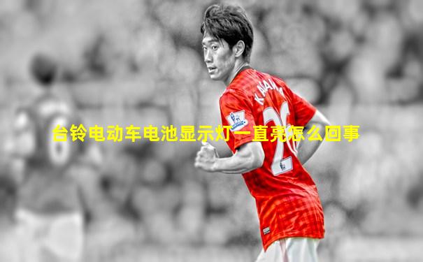 台铃电动车电池显示灯一直亮怎么回事