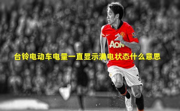 台铃电动车电量一直显示满电状态什么意思