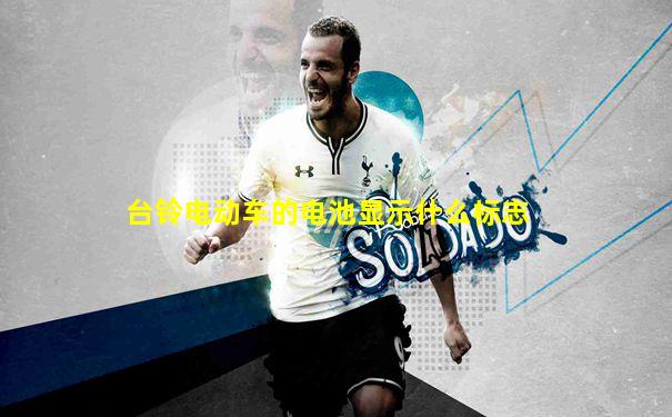 台铃电动车的电池显示什么标志