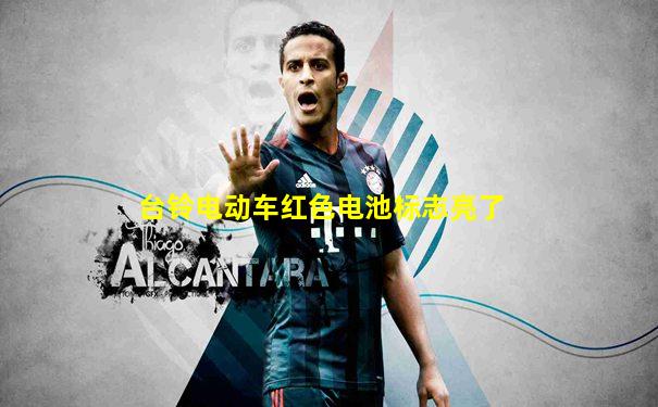 台铃电动车红色电池标志亮了
