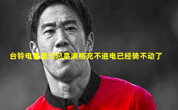 台铃电量显示总是满格充不进电已经骑不动了