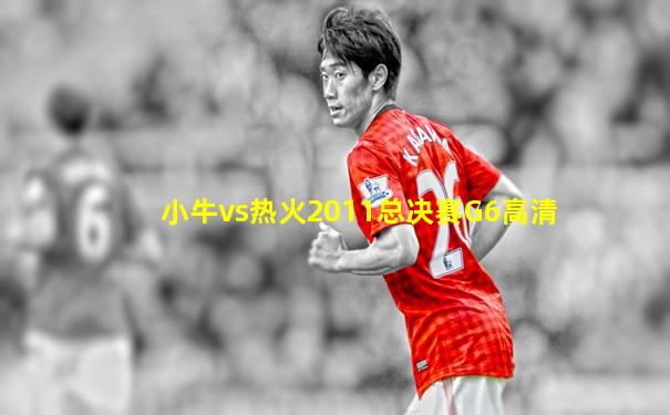 小牛vs热火2011总决赛G6高清