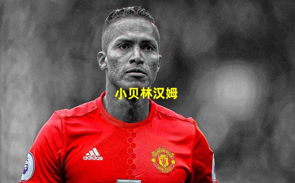 小贝林汉姆