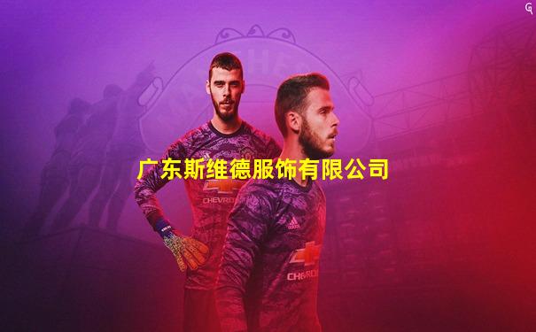 广东斯维德服饰有限公司