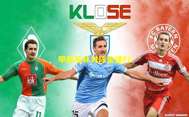 甲府风林对阵爱媛FC